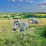 Le Hameau Des Pres-verts, Un Sejour Detente Et Bien Etre Pour Les Amoureux De La Nature Au Coeur Du Pays D'auge, En Normandie Vakantiehuis *