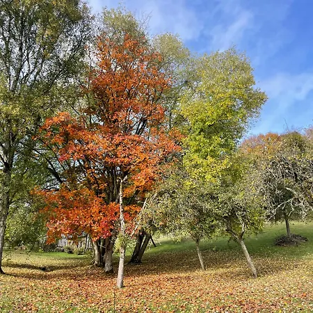 Дом отдыха Le Hameau Des Pres-verts, Un Sejour Detente Et Bien Etre Pour Les Amoureux De La Nature Au Coeur Du Pays D'auge, En Normandie *