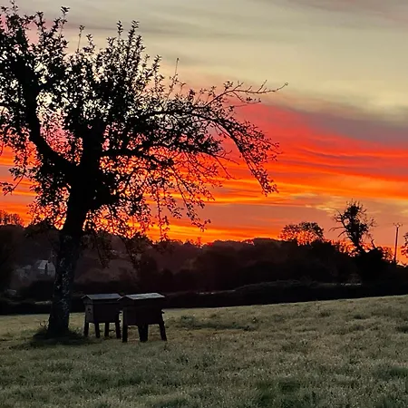 別荘 Le Hameau Des Pres-verts, Un Sejour Detente Et Bien Etre Pour Les Amoureux De La Nature Au Coeur Du Pays D'auge, En Normandie *