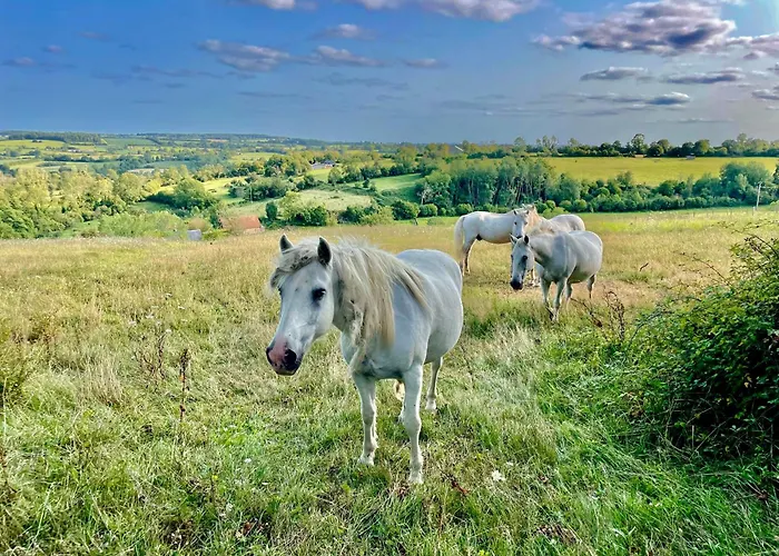 Le Hameau Des Pres-verts, Un Sejour Detente Et Bien Etre Pour Les Amoureux De La Nature Au Coeur Du Pays D'auge, En Normandie Feriehus *