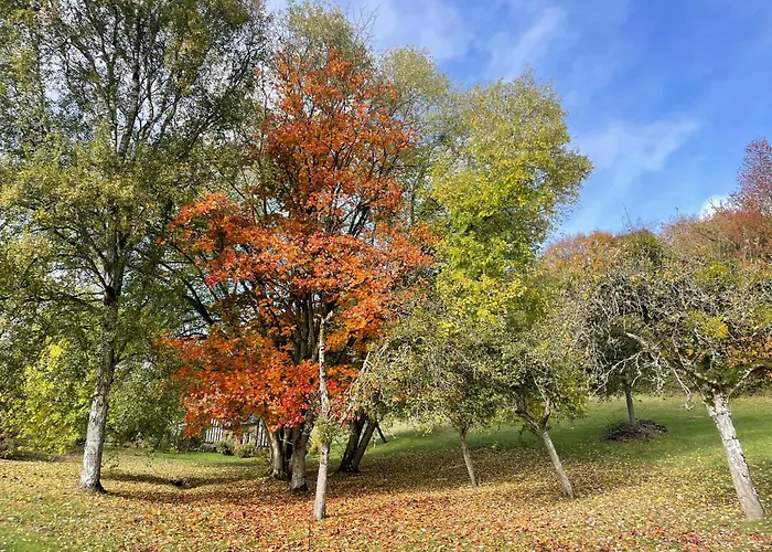 Feriehus Le Hameau Des Pres-verts, Un Sejour Detente Et Bien Etre Pour Les Amoureux De La Nature Au Coeur Du Pays D'auge, En Normandie *